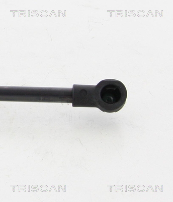 TRISCAN 8710 38231 Gasfjäder, bagageutrymme