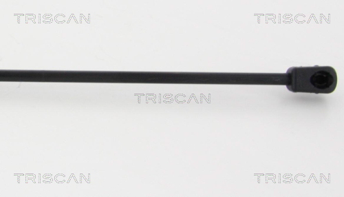 TRISCAN 8710 38234 Gasfeder, Koffer-/Laderaum