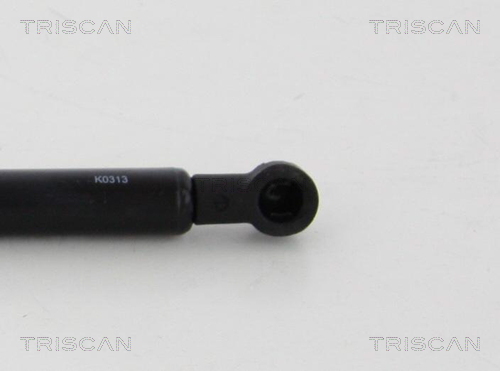 TRISCAN 8710 38242 Gasfeder, Verdeck