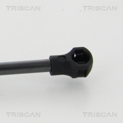 TRISCAN 8710 38247 Gasfjäder, bagageutrymme