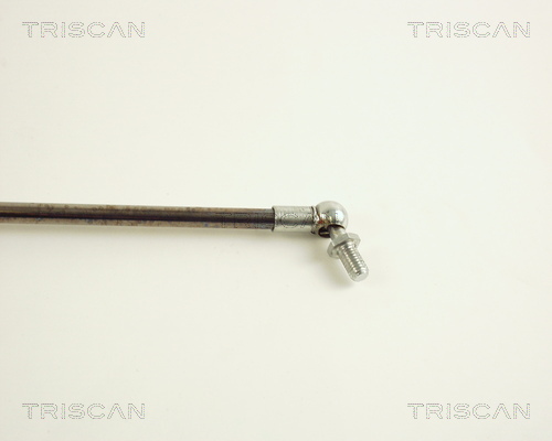 TRISCAN 8710 40202 Gasfjäder, bagageutrymme