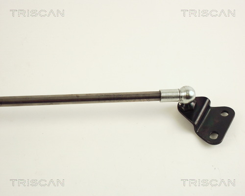 TRISCAN 8710 40205 Gasfjäder, bagageutrymme