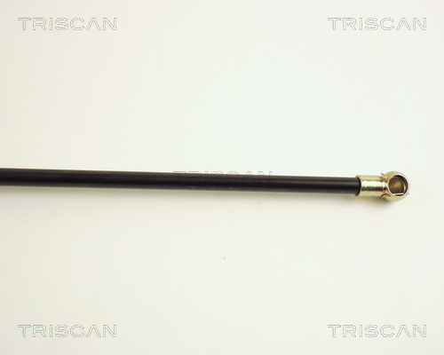 TRISCAN 8710 40207 Gasfjäder, bagageutrymme