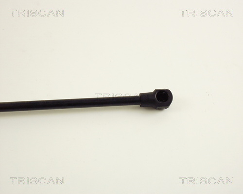 TRISCAN 8710 40209 Gasfjäder, bagageutrymme