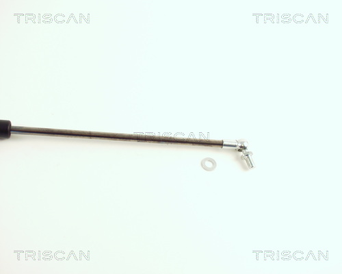 TRISCAN 8710 40213 Gasfeder, Koffer-/Laderaum