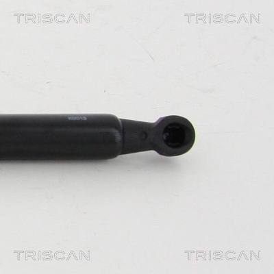 TRISCAN 8710 40240 Gasfjäder, bagageutrymme