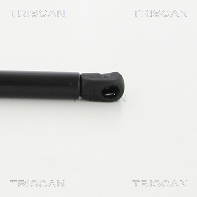 TRISCAN 8710 40241 Gasfeder, Koffer-/Laderaum