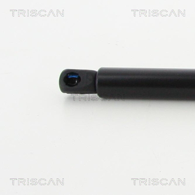 TRISCAN 8710 40242 Gasfjäder, bagageutrymme