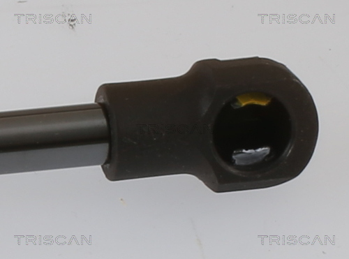 TRISCAN 8710 40243 Gasfjäder, bagageutrymme