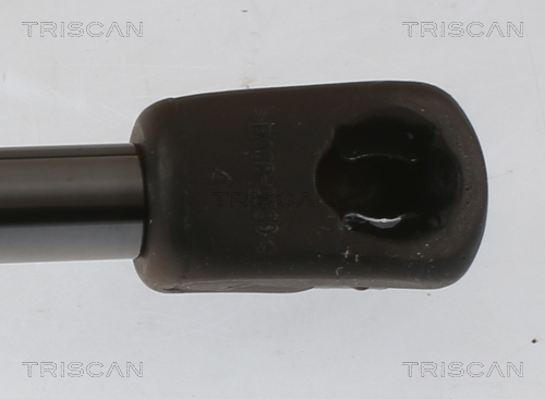 TRISCAN 8710 40246 Gasfjäder, bagageutrymme