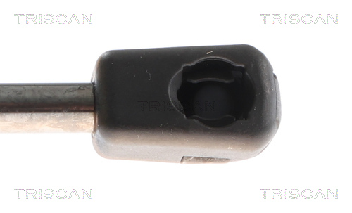 TRISCAN 8710 40303 Gasfeder, Koffer-/Laderaum