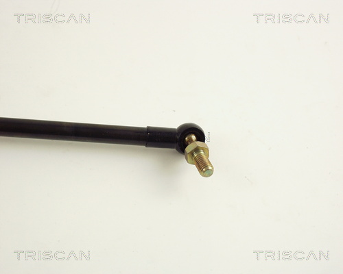 TRISCAN 8710 41200 Gasfjäder, bagageutrymme