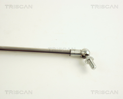 TRISCAN 8710 41204 Gasfjäder, bagageutrymme