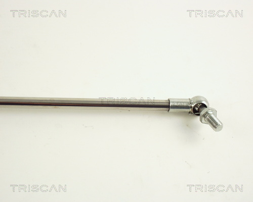 TRISCAN 8710 41205 Gasfjäder, bagageutrymme