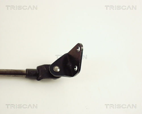 TRISCAN 8710 41208 Gasfjäder, bagageutrymme
