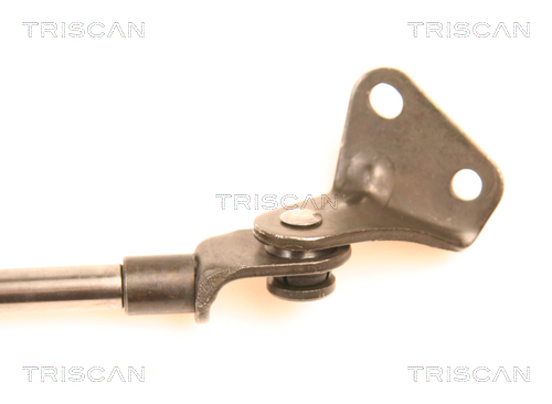 TRISCAN 8710 41210 Gasfjäder, bagageutrymme