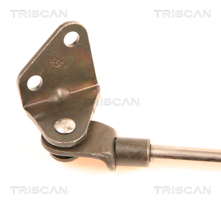 TRISCAN 8710 41212 Gasfjäder, bagageutrymme
