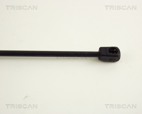 TRISCAN 8710 42202 Gasfjäder, bagageutrymme