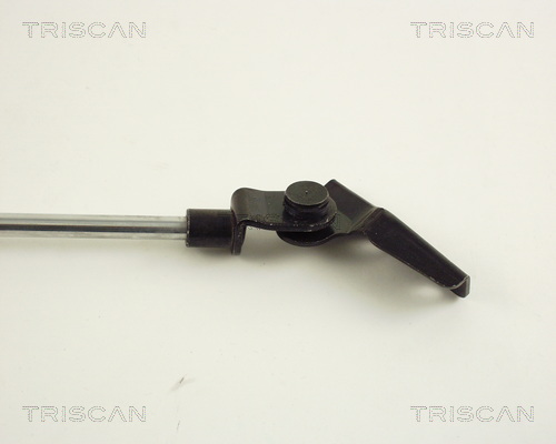 TRISCAN 8710 42205 Gasfjäder, bagageutrymme