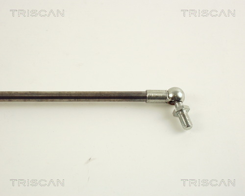 TRISCAN 8710 42209 Gasfjäder, bagageutrymme