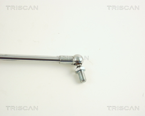 TRISCAN 8710 42210 Gasfjäder, bagageutrymme