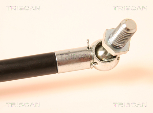TRISCAN 8710 42212 Gasfjäder, bagageutrymme