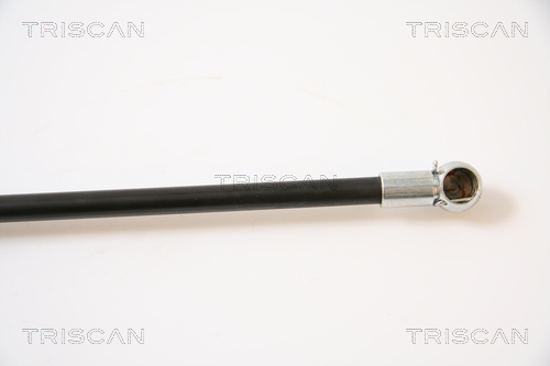TRISCAN 8710 42221 Gasfjäder, bagageutrymme
