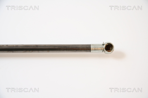 TRISCAN 8710 42223 Gasfjäder, bagageutrymme