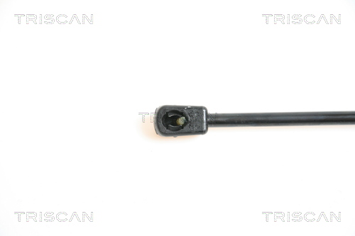 TRISCAN 8710 42224 Gasfjäder, bagageutrymme