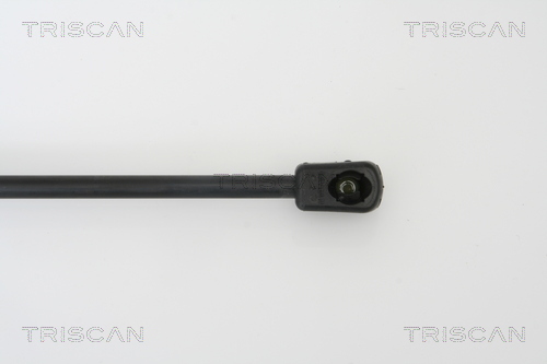 TRISCAN 8710 42234 Gasfjäder, bagageutrymme