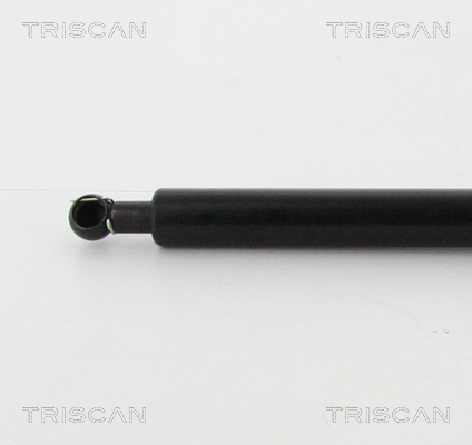 TRISCAN 8710 42242 Gasfjäder, bagageutrymme