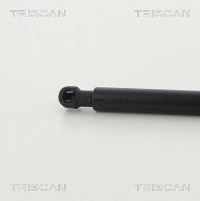 TRISCAN 8710 42245 Gasfjäder, bagageutrymme