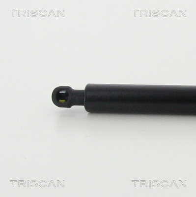 TRISCAN 8710 42246 Gasfjäder, bagageutrymme