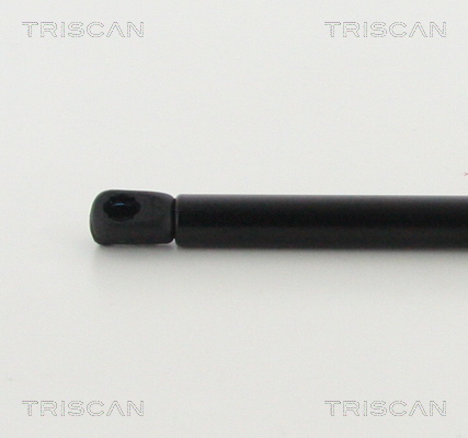 TRISCAN 8710 43104 Gasfeder, Motorhaube