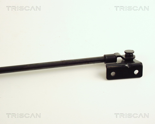 TRISCAN 8710 43205 Gasfjäder, bagageutrymme