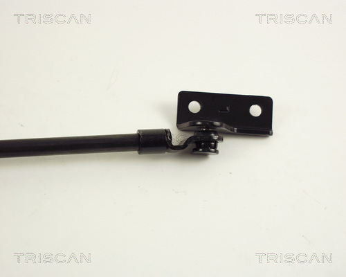 TRISCAN 8710 43206 Gasfjäder, bagageutrymme