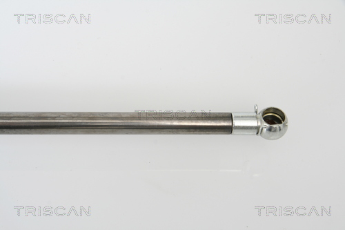 TRISCAN 8710 43213 Gasfjäder, bagageutrymme