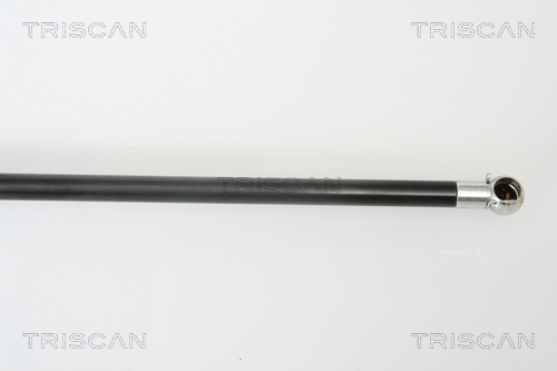 TRISCAN 8710 43219 Gasfjäder, bagageutrymme
