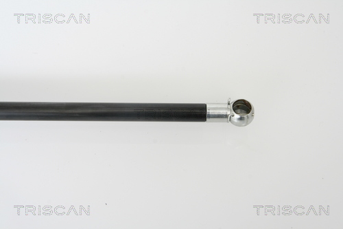 TRISCAN 8710 43220 Gasfjäder, bagageutrymme