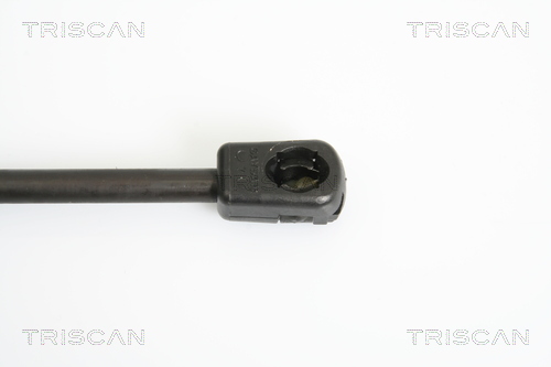 TRISCAN 8710 43225 Gasfjäder, bagageutrymme