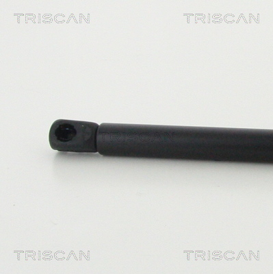 TRISCAN 8710 43246 Gasfjäder, bagageutrymme
