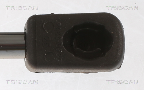 TRISCAN 8710 43247 Gasfjäder, bagageutrymme