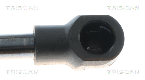 TRISCAN 8710 43306 Gasfeder, Koffer-/Laderaum