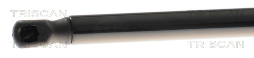TRISCAN 8710 43307 Gasfeder, Koffer-/Laderaum