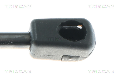 TRISCAN 8710 43308 Gasfeder, Koffer-/Laderaum