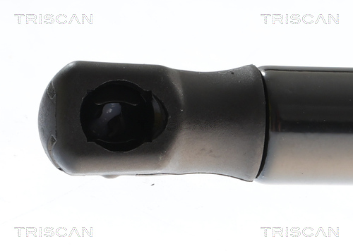 TRISCAN 8710 43309 Gasfeder, Koffer-/Laderaum
