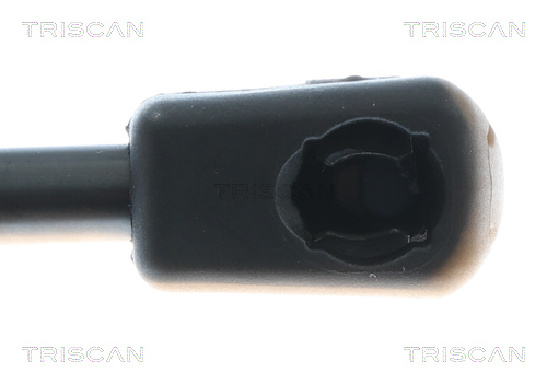 TRISCAN 8710 43309 Gasfeder, Koffer-/Laderaum