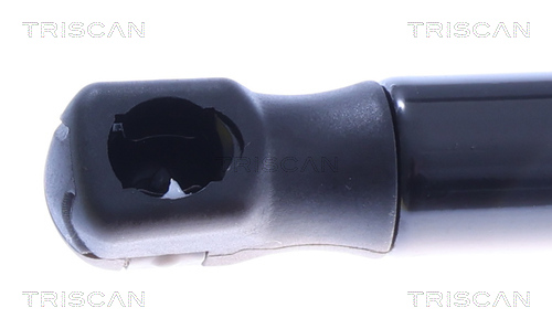 TRISCAN 8710 43310 Gasfeder, Koffer-/Laderaum