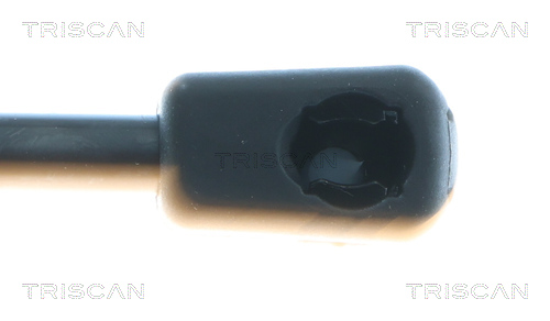 TRISCAN 8710 43310 Gasfeder, Koffer-/Laderaum