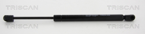 TRISCAN 8710 44202 Gasfeder, Heckscheibe